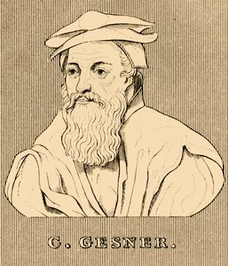 C. Gesner, 1516-1565, 1830 by Unbekannt