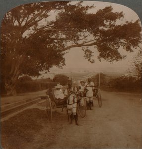 Cabs Drawn by Natives on a Residence Road, Durban, South Africa