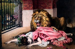 Caged Lion with Sleeping Woman