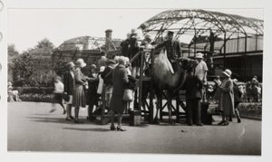 Camel ride, c 1930