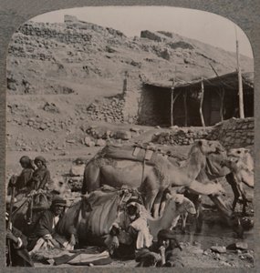 Camel train from Jerash, watering at the Fountain of Elisha by Unbekannt