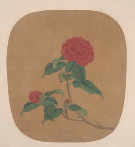Camellia Flowers by Unbekannt