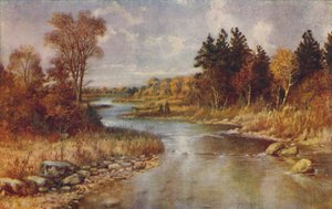 Canadian Forest Scene, 1924 by Unbekannt