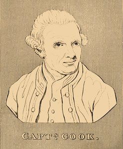 Captain Cook by Unbekannt