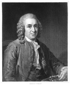 Carolus Linnaeus, 18th century Swedish naturalist, 1835