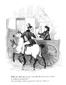 Cartoon on a Riding Theme