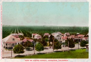 Castro Street, Hayward, California, 1905 by Unbekannt