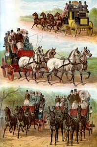 Celebrated Teams in the Park by Unbekannt