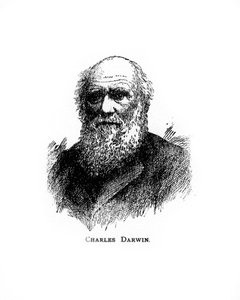 Charles Darwin, 19th century British naturalist
