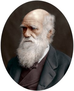 Charles Darwin, British naturalist