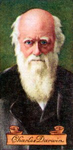Charles Darwin, taken from a series of cigarette cards