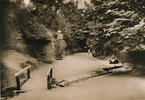 Chine Hollow, Shanklin, I.W.