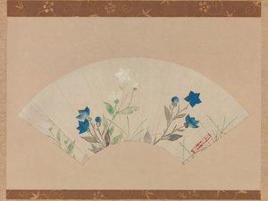 Chinese Bellflowers