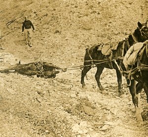 Clearing the battlefield, c1914-c1918
