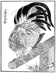 Cock by Unbekannt