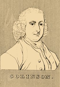 Colinson, 1694-1768, 1830 by Unbekannt