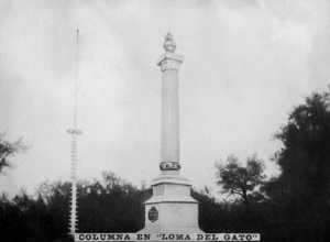 Column at Loma del Gato