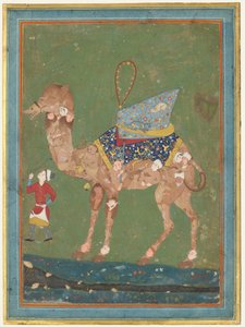 Composite Camel with Attendant by Unbekannt