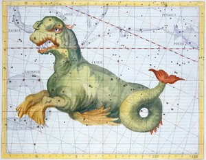 Constellation of Cetus the Whale