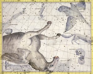 Constellation of Pegasus, 1729 by Unbekannt