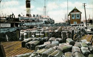 Cotton Wharves, New Orleans, Louisiana, USA by Unbekannt