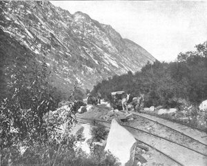 Cottonwood Canyon, Utah, USA by Unbekannt