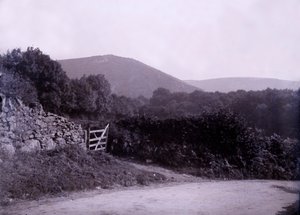 Countryside Near Plymouth in Devon