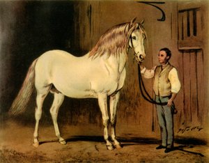 Cream State Carriage Horse of Queen Victoria