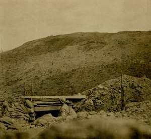 Crest of hill at Les Éparges, northern France, c1914-c1918 by Unbekannt
