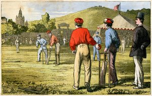 Cricket