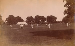 Cricket match, late 19th-early 20th century by Unbekannt