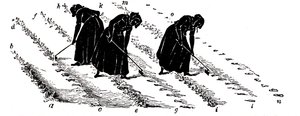Crop Rotation: Women Thinning Turnips, 1855 by Unbekannt