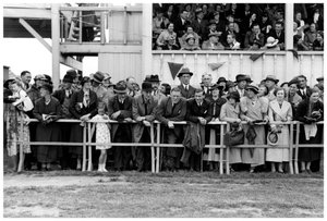 Crowd at the Races