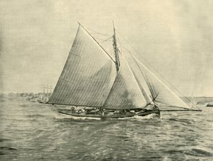 Cruising in Port Jackson