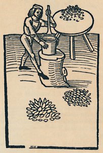 Crushing Herbs in a Mortar