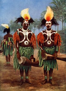 Dancers of the Fly River Region, Papua New Guinea