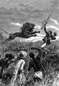 David Livingstone, Scottish missionary and African explorer, being charged by a lion, c1860 by Unbekannt