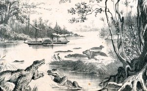 David Livingstone Navigating the Zambezi, Africa by Unbekannt