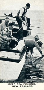 Deep Sea Fishing, New Zealand, 1927-1937 by Unbekannt