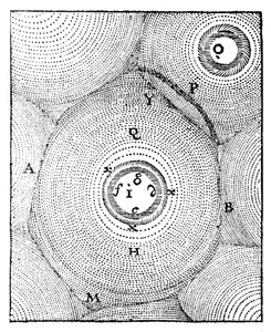 Descartes model of the Universe, 1668 by Unbekannt