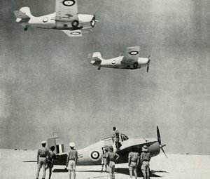 Desert Squadron - Planes of the Fleet Air Arm during the Second World War by Unbekannt