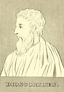 Dioscorides, c40-90 AD by Unbekannt