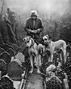 Dog Cemetery, Victoria Gate, Bayswater, London