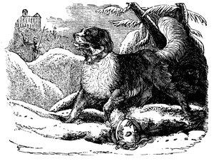 Dog from the Hospice of St Bernard Finding a Traveller in the Snow by Unbekannt