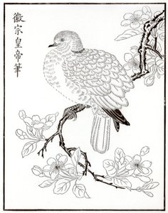 Dove, 1886 by Unbekannt
