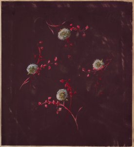 Drawing, from Saint Germain - Volumes 1 & 2, ca. 1896 by Unbekannt