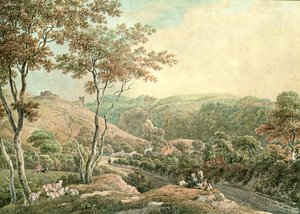 Drusllwyn Castle, Caermarthenshire, c1900 by Unbekannt