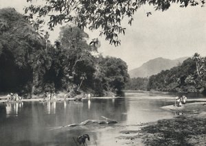 Elephant bathing place at the Mahavaliganga near Kandy