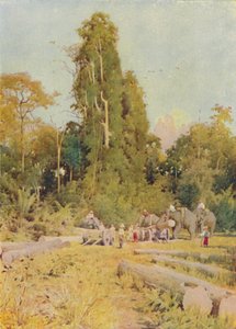 Elephants Piling Teak by Unbekannt