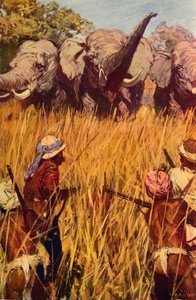 Elephants in Chase, c1850-c1912 by Unbekannt